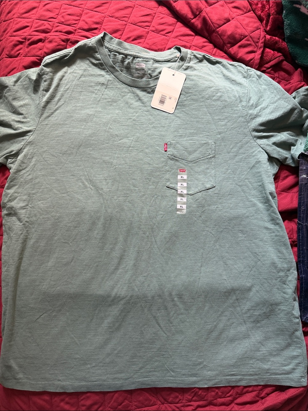 Levi's Men's Mint Green Short Sleeve Pocket Tee